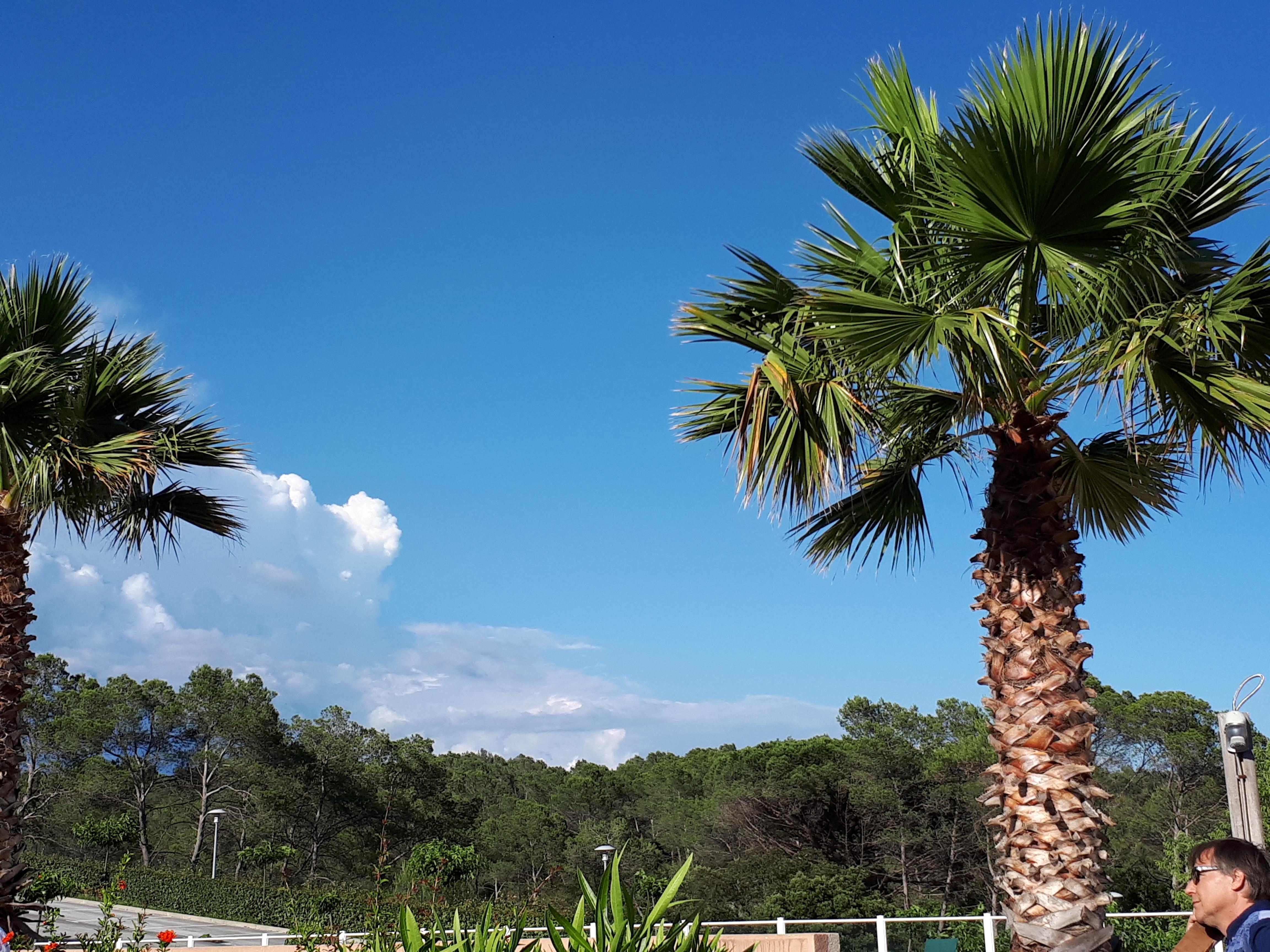 Les Parasols D'Argens Roquebrune-sur-Argens Buitenkant foto