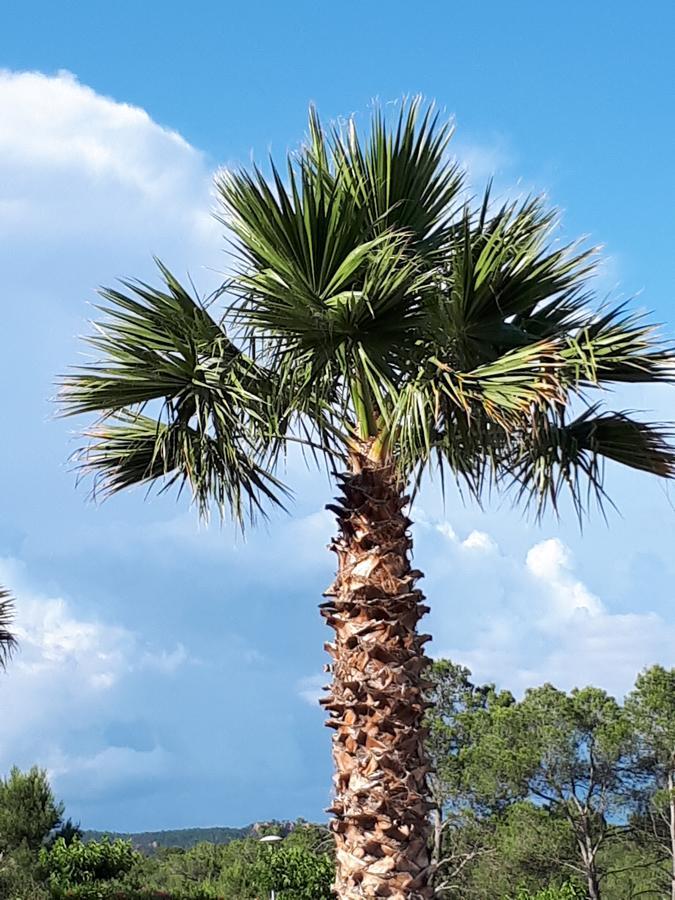Les Parasols D'Argens Roquebrune-sur-Argens Buitenkant foto